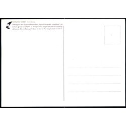 Pr�stegade med flere Middelalderhuse - u/n - Ubrugt