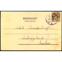 Parti ved �rnereden - Aarhus - H.A.E. 136 - Brugt