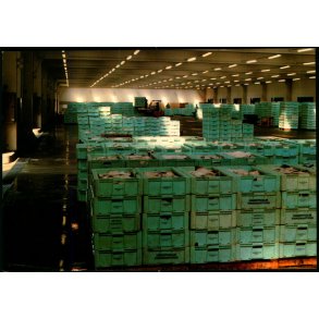 A8uktionshal 2 - Hanstholm Havn - Wadmanns 85231 - Ubrugt