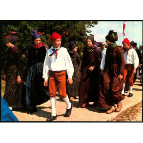 Fan� - CIC 976 - Ubrugt