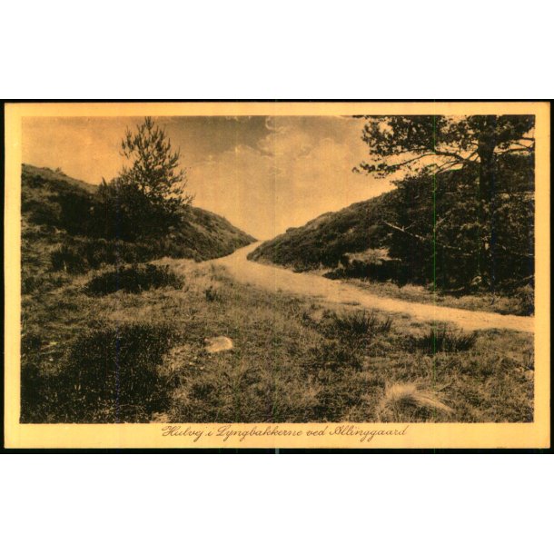 Hulvej i Lyngbakkerne ved Allinggaard - L&M 1568 - Ubrugt