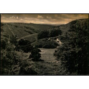 Gryden - Rebild Nationalpark  - Eneret 91509 - Ubrugt