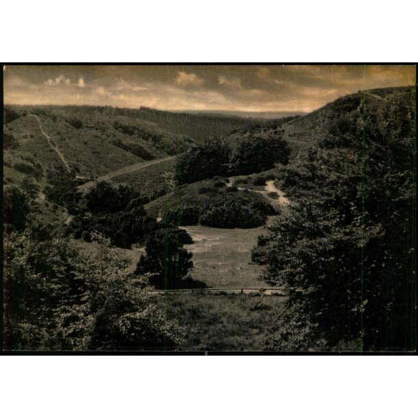 Gryden - Rebild Nationalpark  - Eneret 91509 - Ubrugt