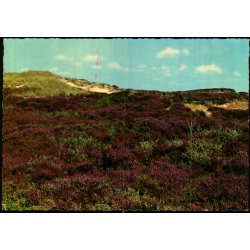 Skagen - Ved Raabjerg Mile  - Grdsblls Bogh. 7304  - Ubrugt