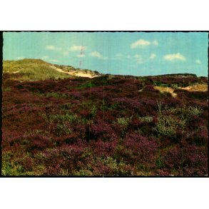 Skagen - Ved Raabjerg Mile  - Grdsblls Bogh. 7304  - Ubrugt