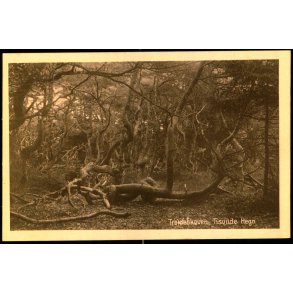 Troldeskoven - Tisvilde Hegn - E. Ramlaus Bogh. u/n - Ubrugt