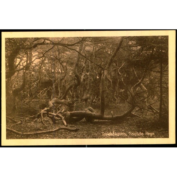 Troldeskoven - Tisvilde Hegn - E. Ramlaus Bogh. u/n - Ubrugt