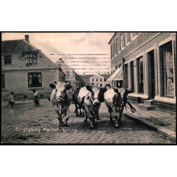 Ringk�bing - M�lkeforsyning - H.P. Holms Bogh. 4479 - Brugt