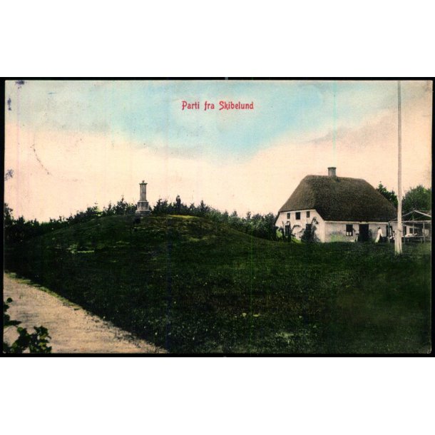 Parti fra Skibelund - W.K.F. 3805 - Brugt