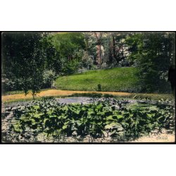 Gram - W. Sch�tzasck u/n - Ubrugt