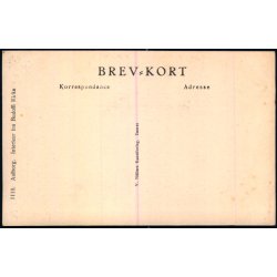 Aalborg - Interir fra Budolfi Kirke - V. Mller 1118 - Ubrugt