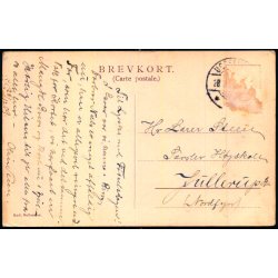 Schildenseje  (Jylland) - Danske Herregaarde F&B 181 - Brugt