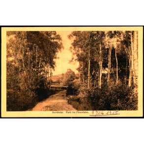 Bornholm - Parti fra Finnedalen - Stender 35048 - Ubrugt