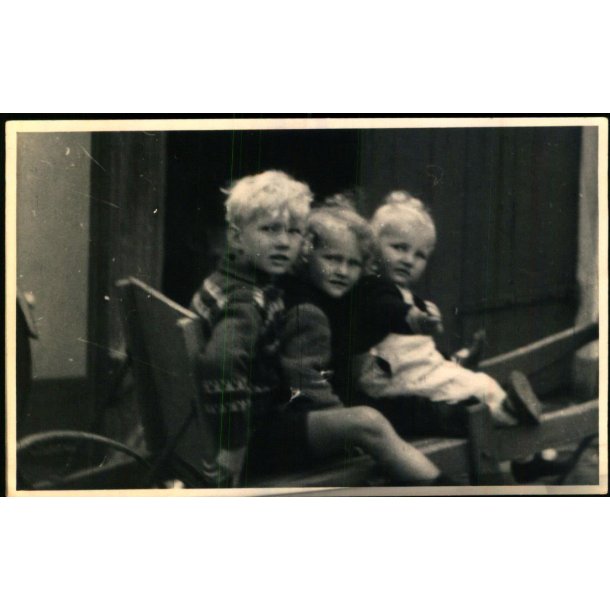 Firh�j - Fotokort u/n - Brugt