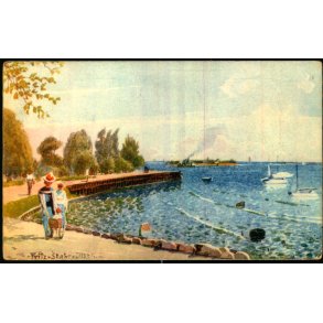 Kbenhavn - Parti fra Langelinie - Stender 114 - Ubrugt