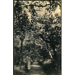 Skagen - Plantagen - Mariager u/n - Ubrugt