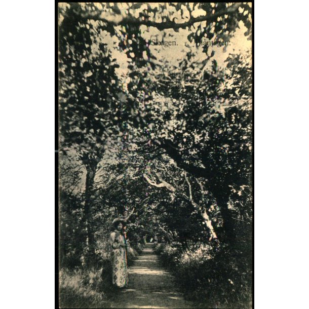 Skagen - Plantagen - Mariager u/n - Ubrugt