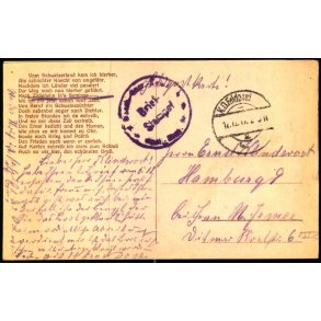 Feldpost - K.D. Feldpost  12 - 12 -17 - Til Hamburg - Billedside : Portrt.