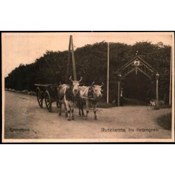 Ringk�bing - Studek�rsel fra Hedeegnen - Bollerups Bogh. 8361 - Brugt