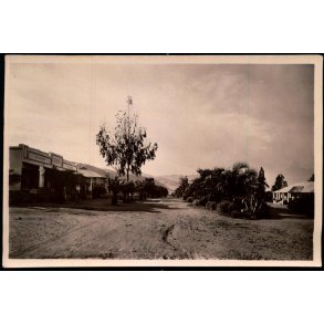 Congo Belge - Uvira - Une Avenue - Fotokort 3 - 5 - Ubrugt