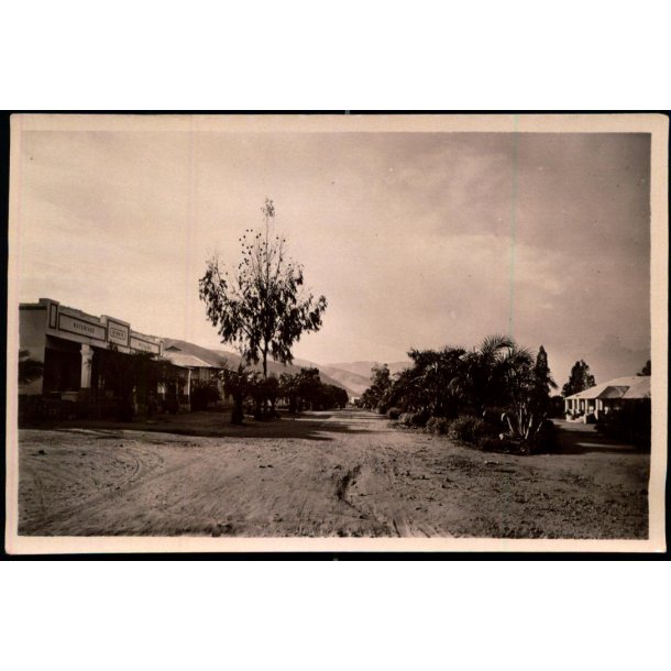 Congo Belge - Uvira - Une Avenue - Fotokort 3 - 5 - Ubrugt