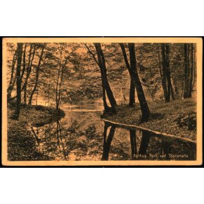 Aarhus - Parti ved Thors M�lle - Stender 38645 - Brugt