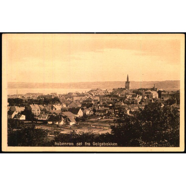 Aabenraa set fra Galgebakken - Jasmunds 53489 - Ubrugt