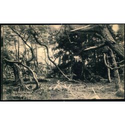 TIDSVILDELEJE p Postkort