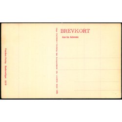 Holstebro - Chr. IX s Statue - Stender 12152 - Ubrugt