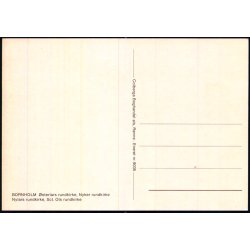 Bornholm - Sct. Ols - Nyker - Nylars - sterlars Rundkirke - Colbergs Bogh. 9035 - Ubrugt