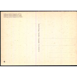 Aalborg - Jomfru Anegade ved Nat - Stender 149 625 114 - Ubrugt