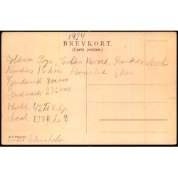 Schildenseje  (Jylland) - Danske Herregaarde F&B 181 - Ubrugt