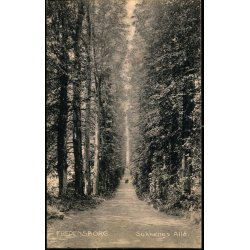 Fredensborg - Sukkenes All - Stender 6249