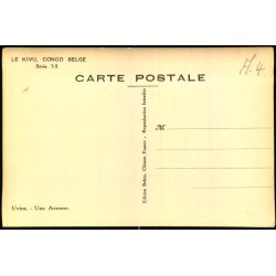 Congo Belge - Uvira - Une Avenue - Fotokort 3 - 5 - Ubrugt