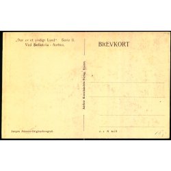 Ved Selistria - Aarhus - J.J.N. 4073 - Ubrugt