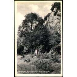 Bornholm - Fra Ekkodalen i Almindingen - Stender B. 86 - Ubrugt