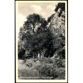 Bornholm - Fra Ekkodalen i Almindingen - Stender B. 86 - Ubrugt