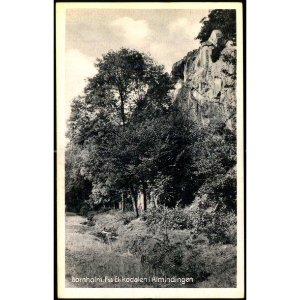 Bornholm - Fra Ekkodalen i Almindingen - Stender B. 86 - Ubrugt