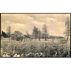 Parti fra Maribo - Jul Hansen u/n - Ubrugt