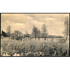 Parti fra Maribo - Jul Hansen u/n - Ubrugt