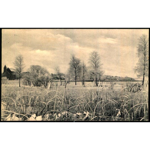 Parti fra Maribo - Jul Hansen u/n - Ubrugt