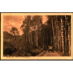 Bornholm - Parti fra Finnedalen - Colbergs Bogh. u/n - Ubrugt