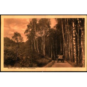 Bornholm - Parti fra Finnedalen - Colbergs Bogh. u/n - Ubrugt