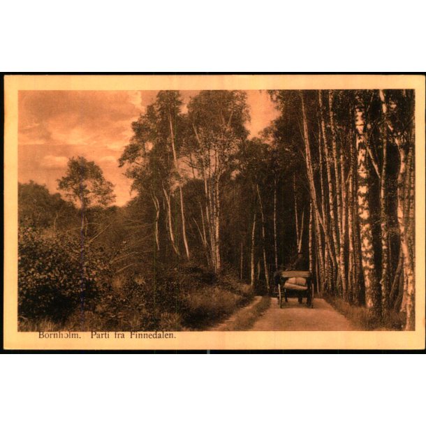 Bornholm - Parti fra Finnedalen - Colbergs Bogh. u/n - Ubrugt