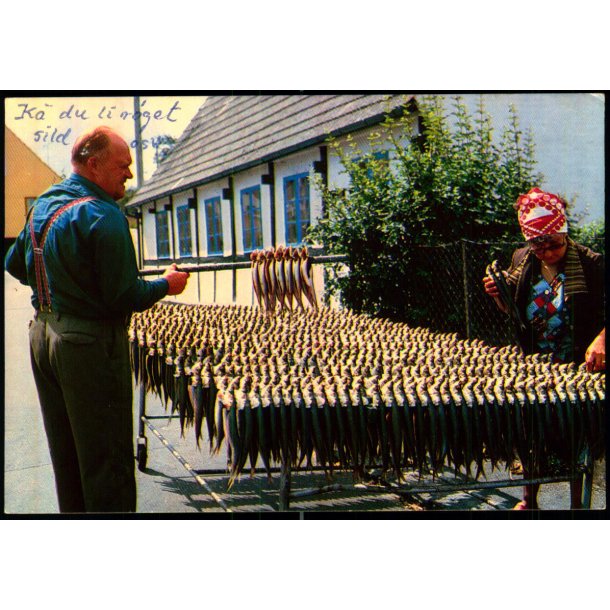 Bornholm - rsdale - W. Dams Bogh. 6000 - Brugt