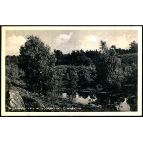 Bornholm - Grydesdalen i Paradisbakkerne - V.E.J. 215 - Brugt