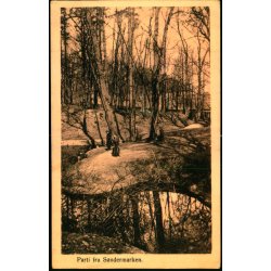 Parti fra Sndermarken - Alex Vincent 766 - Brugt