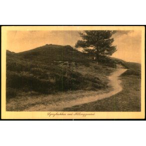 Lyngbakker ved Allinggaard - L&M 1570 - Ubrugt