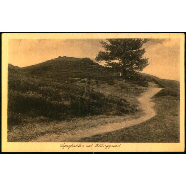 Lyngbakker ved Allinggaard - L&M 1570 - Ubrugt