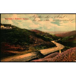 Hulvejen i Rebild Bakker - Eneret 3005 - Brugt